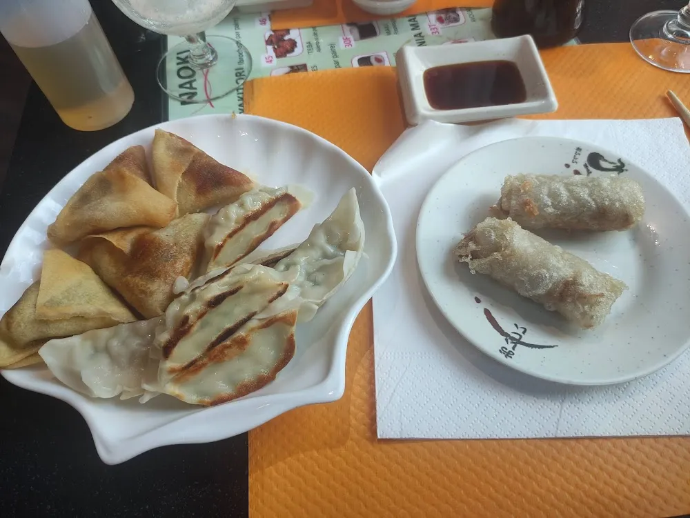 Gyoza Samosas Nems
